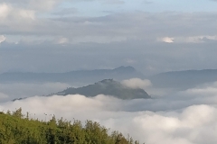 74185051_2451775774939165_8901675872533086208_o