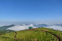 74186801_2451776718272404_7760871024719036416_o