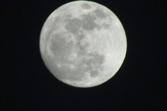 75462444_2451773641606045_1181271329597292544_o