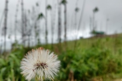 75534310_2451774438272632_3674634333236232192_o