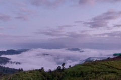 75567341_2451774551605954_7863953465343475712_o