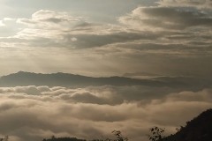 76793199_2451776081605801_7469788940606636032_o