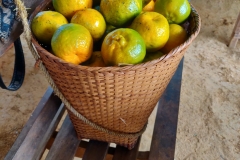 75576577_2451774354939307_3431019055153152000_o