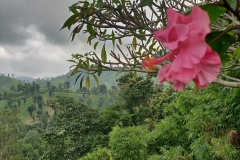 78594360_2492391537544255_3195393348248535040_o-1