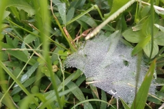 76689041_2469638696486206_2078445768158478336_o