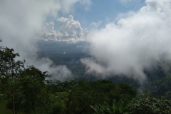 78083725_2469638009819608_4598235486526373888_o