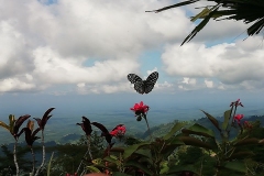 78353612_2469638209819588_3970090991863463936_o